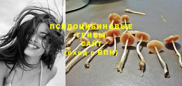 ешки Богородск