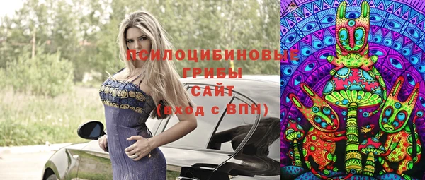 ешки Богородск