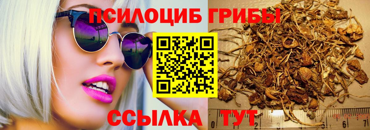 Бутурлиновка  купить   Вход с VPN  Псилоцибиновые грибы MAGIC MUSHROOMS 