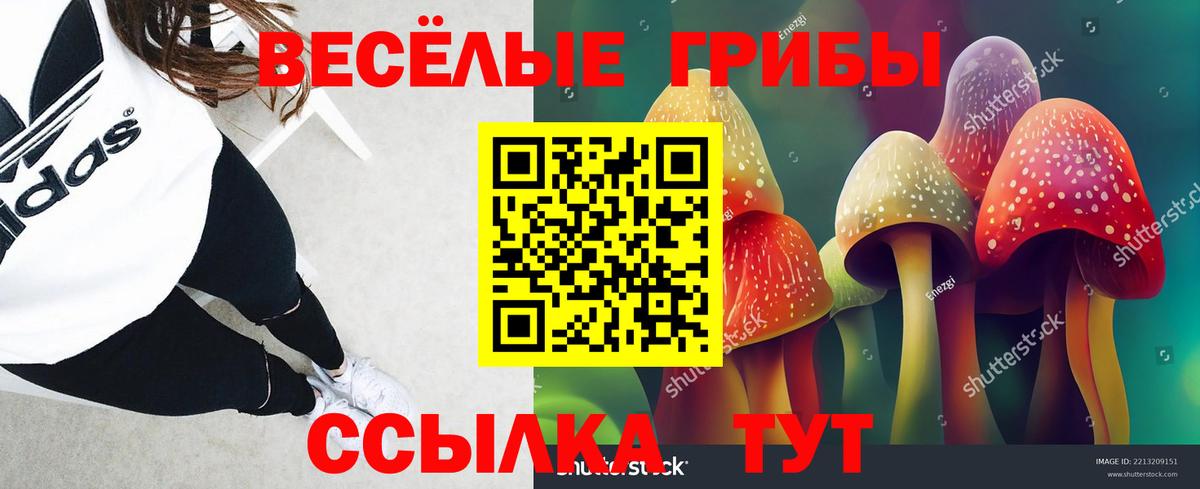 Псилоцибиновые грибы прущие грибы Бутурлиновка